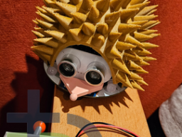013